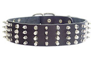 2 inch Leather Dog Collar with STUDS and SPIKES for Cane Corso
