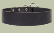 2 inch wide All Weather Collar for Cane Corso-Leather Collar