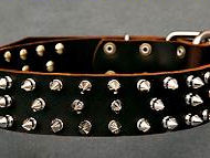 Leather Spiked Dog Collar