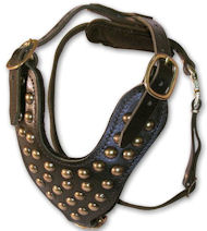 CANE CORSO Studded Leather Dog Harness -H15