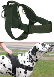 Best Dog Training Harness for CANE CORSO