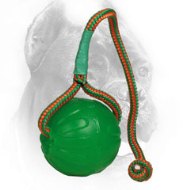 3 1/2 Inch Foam Cane Corso Ball for Chewing and Training Purposes 3 1/2 Inch Foam Cane Corso Ball for Chewing and Training Purposes
