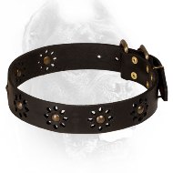 Leather Cane Corso Collar with Flower Decor Leather Cane Corso Collar with Flower Decor