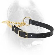 Leather Cane Corso Martingale Collar with Buckle and Brass Chain Leather Cane Corso Martingale Collar with Buckle and Brass Chain