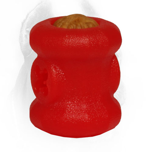 Small Cane Corso Fire Plug with Everlasting Treats Inside Small Cane Corso Fire Plug with Everlasting Treats Inside