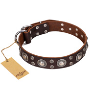 'Age of Beauty' FDT Artisan Incredible Studded Brown Leather Cane Corso Collar 'Age of Beauty' FDT Artisan Incredible Studded Brown Leather Cane Corso Collar
