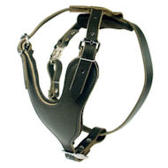 Heavy Duty Dog Harness for Cane Corso
