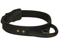 1 3/4 inch LEATHER DEPLOYMENT COLLAR for Cane Corso