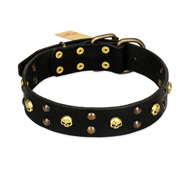 FDT Artisan 'Heavy Metal' Leather Cane Corso Collar with Skulls and Studs 1 1/2 inch (40 mm) FDT Artisan 'Heavy Metal' Leather Cane Corso Collar with Skulls and Studs 1 1/2 inch (40 mm)