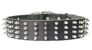 2 inch wide Leather Spiked Dog Collar for Cane Corso