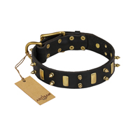 "Medieval Style" FDT Artisan Leather Cane Corso Collar with Brass Plates and Spikes "Medieval Style" FDT Artisan Leather Cane Corso Collar with Brass Plates and Spikes