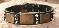 Gorgeous Custom Leather spiked Dog Collar - handcrafted collar