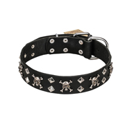 FDT Artisan 'Rock 'n' Roll Style' Leather Cane Corso Collar with Skulls, Bones and Studs 1 1/2 inch (40 mm) wide FDT Artisan 'Rock 'n' Roll Style' Leather Cane Corso Collar with Skulls, Bones and Studs 1 1/2 inch (40 mm) wide