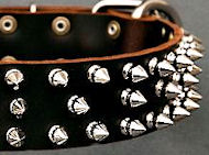 Protector Full Spiked Latigo Dog Collar for Cane Corso