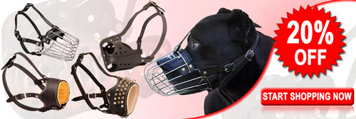 Get Today High Quality Exclusive Cane Corso Muzzles