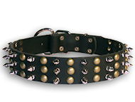 spiked and studded leather dog collar for cane corso
