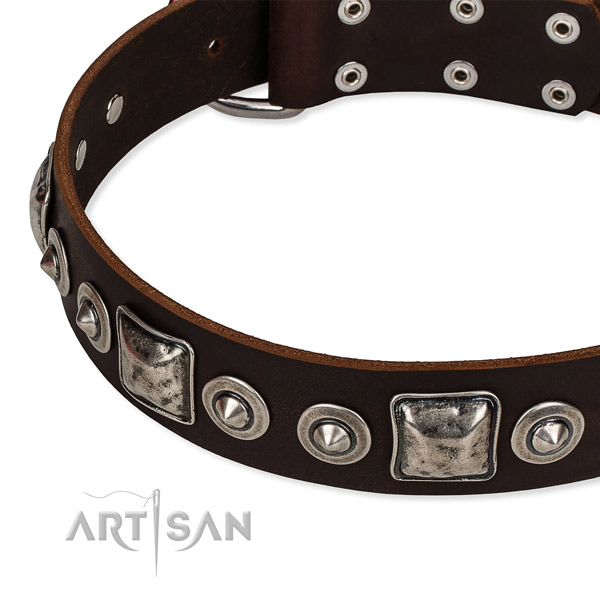 Quality full grain leather dog collar made for your stylish dog