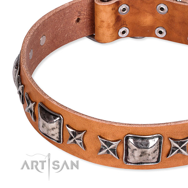 Comfortable wearing embellished dog collar of top quality full grain leather
