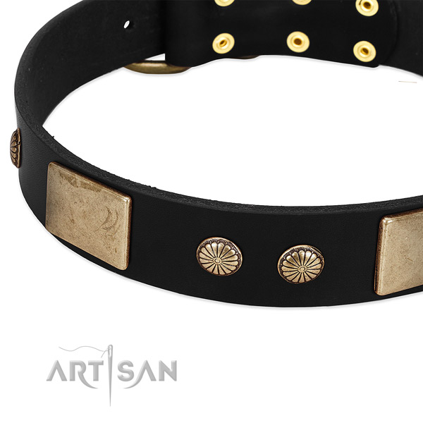 Full grain natural leather dog collar with embellishments for comfy wearing