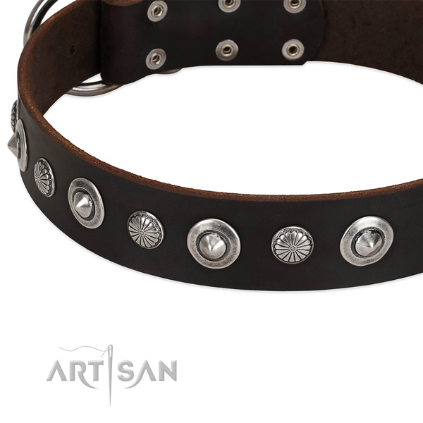 Exquisite decorated dog collar of durable full grain natural leather