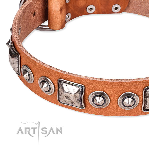 Quality full grain leather dog collar handcrafted for your handsome four-legged friend