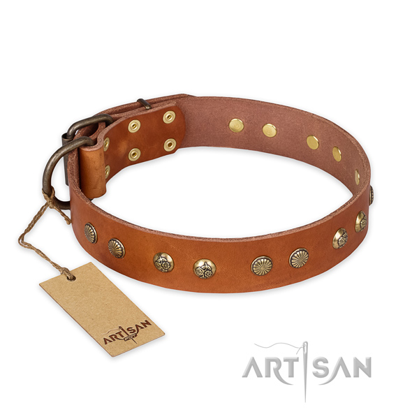 Adorned leather dog collar with strong D-ring