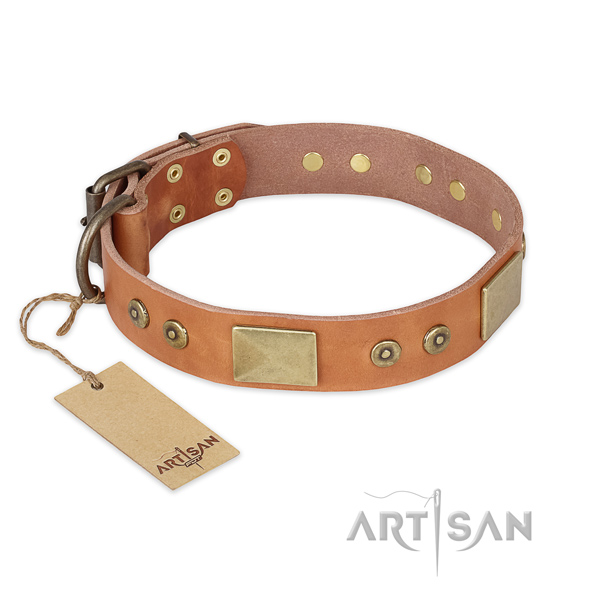 Decorated full grain genuine leather dog collar for everyday walking