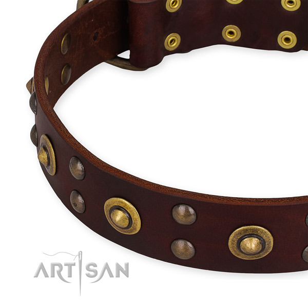 Full grain natural leather collar with durable hardware for your lovely canine