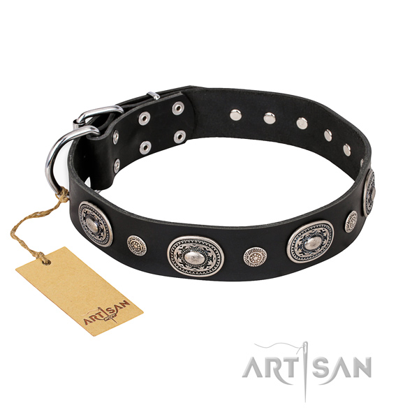 Strong full grain leather collar handmade for your four-legged friend