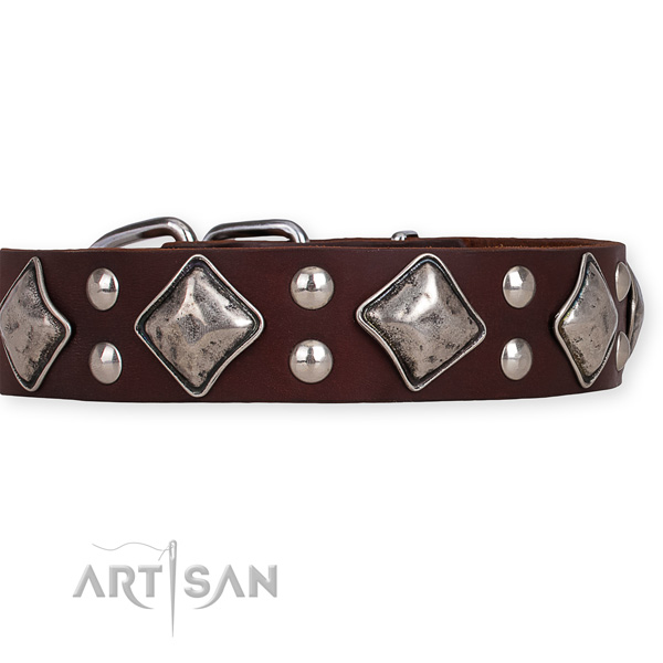 Genuine leather dog collar with significant strong decorations