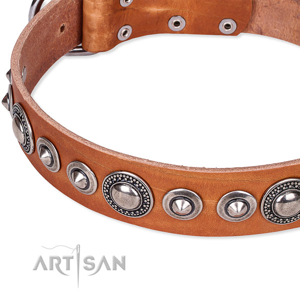 Comfortable wearing adorned dog collar of top notch full grain natural leather