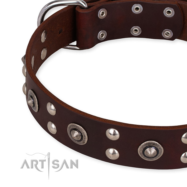 Full grain leather collar with durable traditional buckle for your impressive four-legged friend