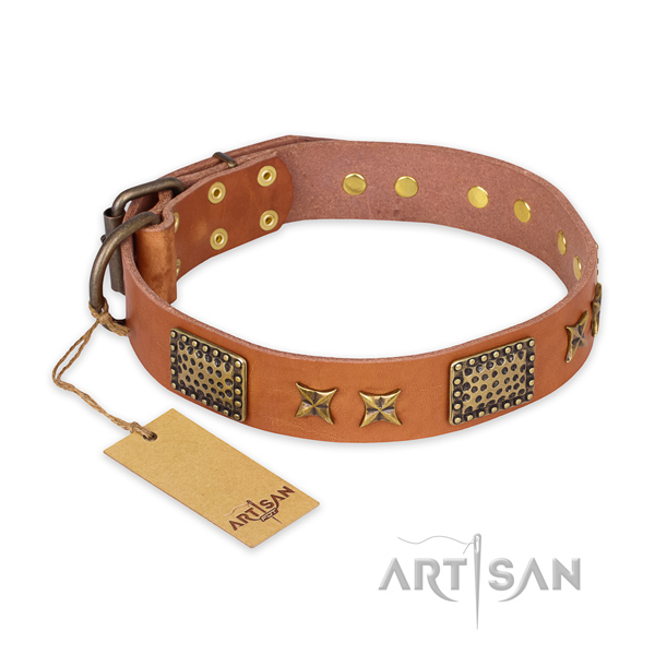 Easy adjustable leather dog collar with reliable buckle