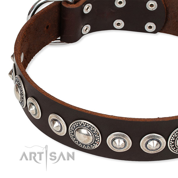Daily walking adorned dog collar of durable full grain genuine leather