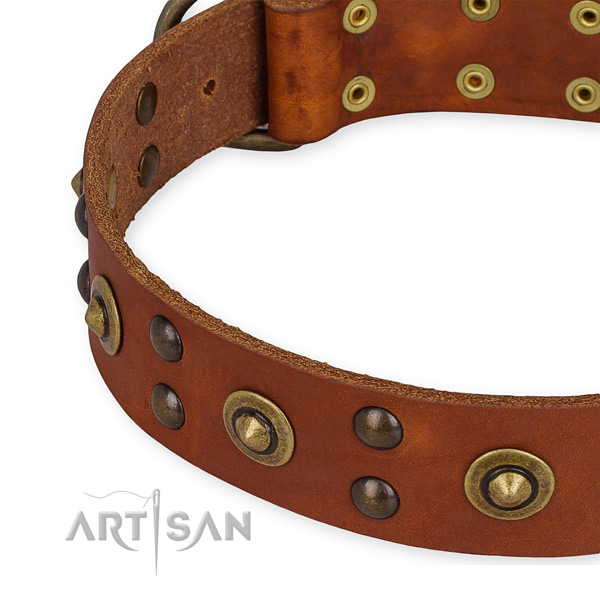 Genuine leather collar with strong buckle for your attractive canine