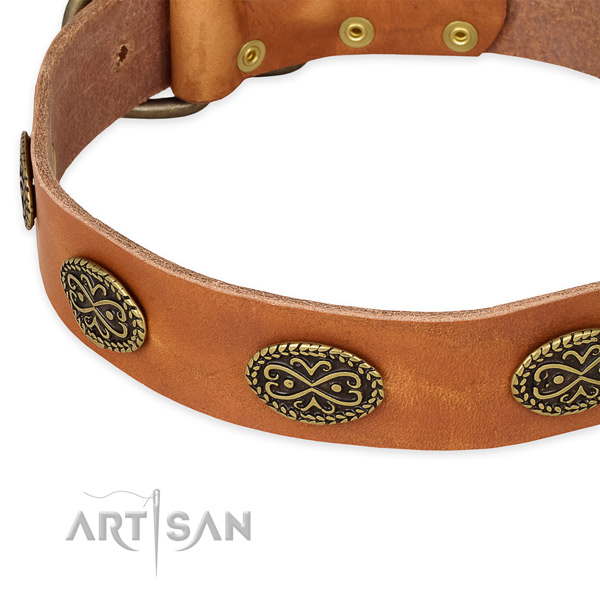 Convenient full grain leather collar for your impressive dog