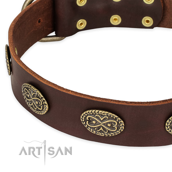 Adorned leather collar for your lovely pet