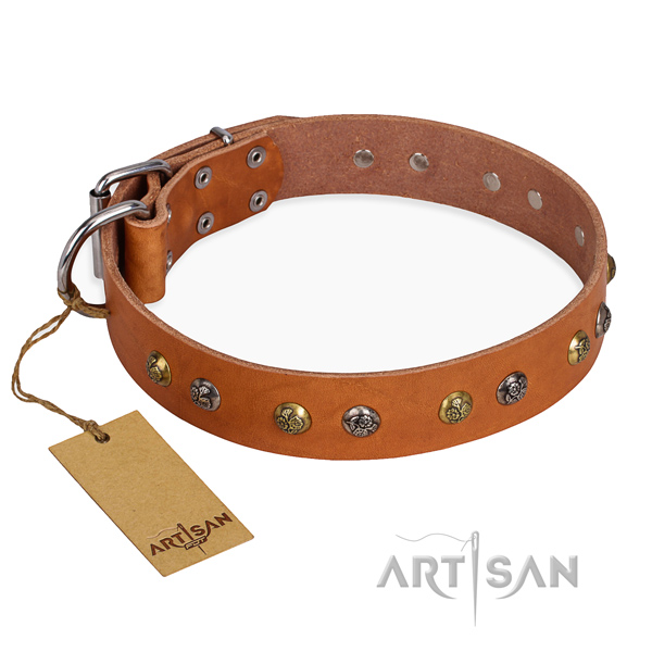 Daily use awesome dog collar with durable buckle