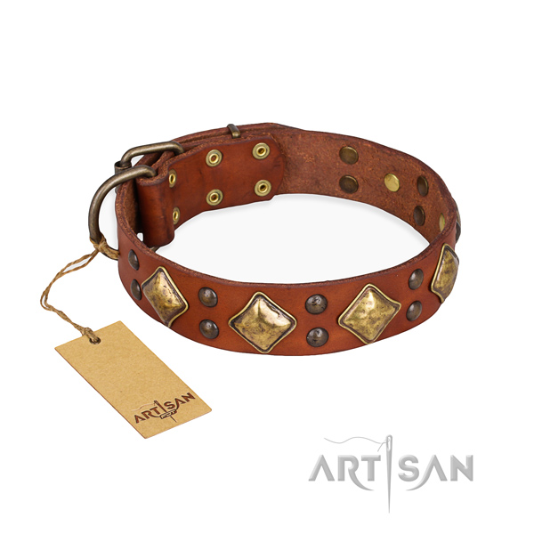 Comfortable wearing easy adjustable dog collar with rust resistant traditional buckle