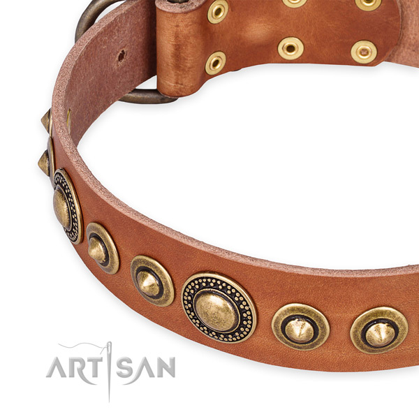 Soft full grain genuine leather dog collar handmade for your beautiful canine
