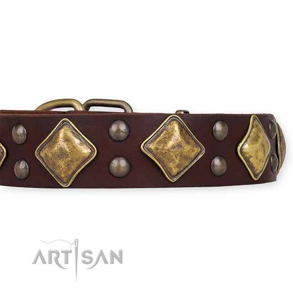 Full grain leather collar with strong D-ring for your stylish pet