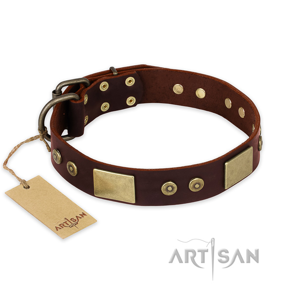 Awesome full grain natural leather dog collar for daily walking