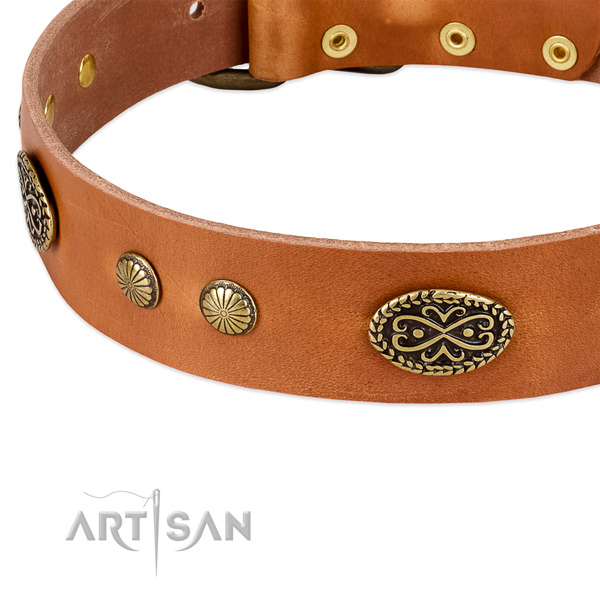 Reliable hardware on full grain natural leather dog collar for your dog