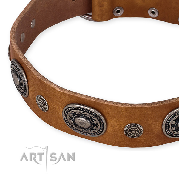 Reliable leather dog collar handmade for your lovely dog