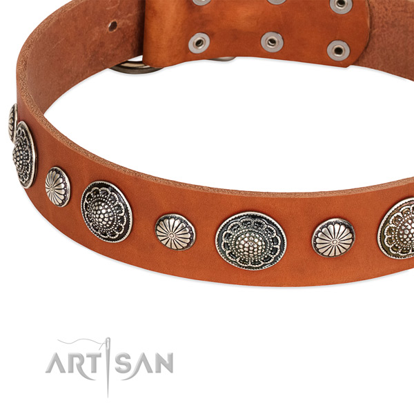 Full grain leather collar with strong D-ring for your impressive doggie