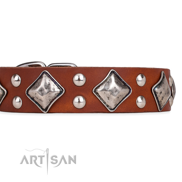 Full grain leather dog collar with stylish durable embellishments
