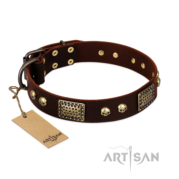 Easy to adjust full grain natural leather dog collar for stylish walking your doggie