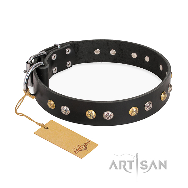 Comfortable wearing decorated dog collar with strong traditional buckle