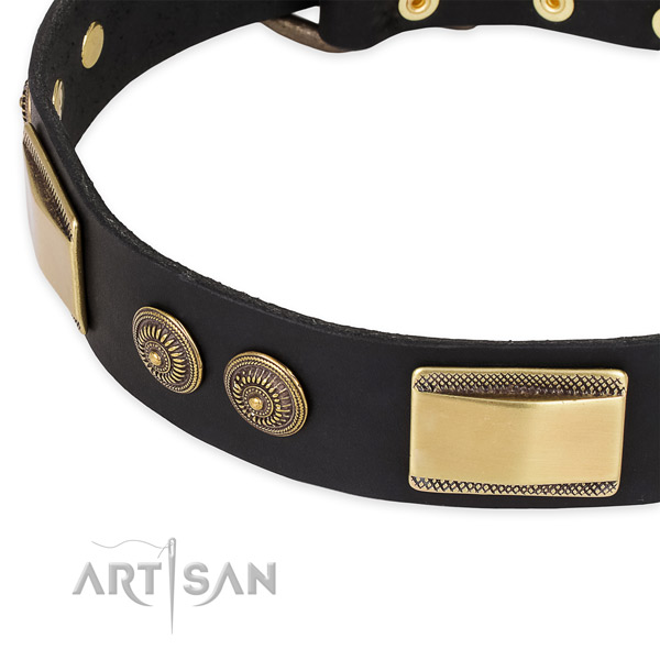 Studded natural genuine leather collar for your impressive canine