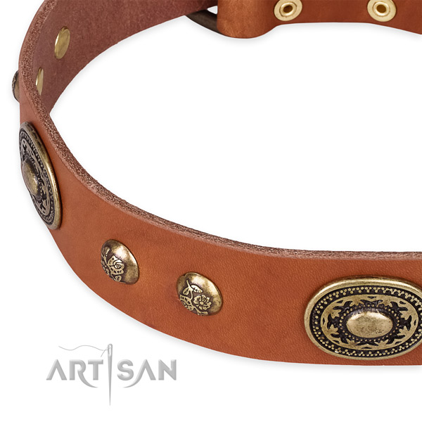 Extraordinary full grain leather collar for your impressive pet